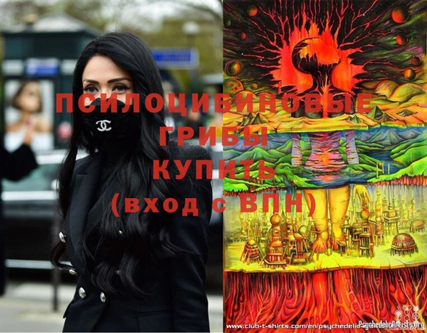 гидропоника Новодвинск
