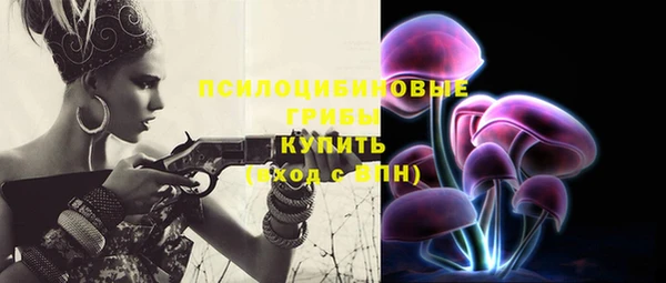 гидропоника Новодвинск