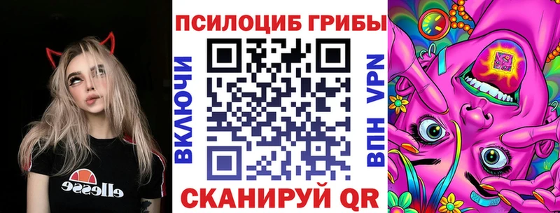 blacksprut зеркало  Олонец  Галлюциногенные грибы Magic Shrooms 